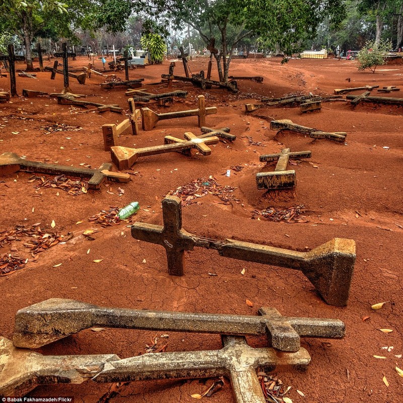 Vung dat ma Fordlandia giua rung Amazon rong lon-Hinh-9